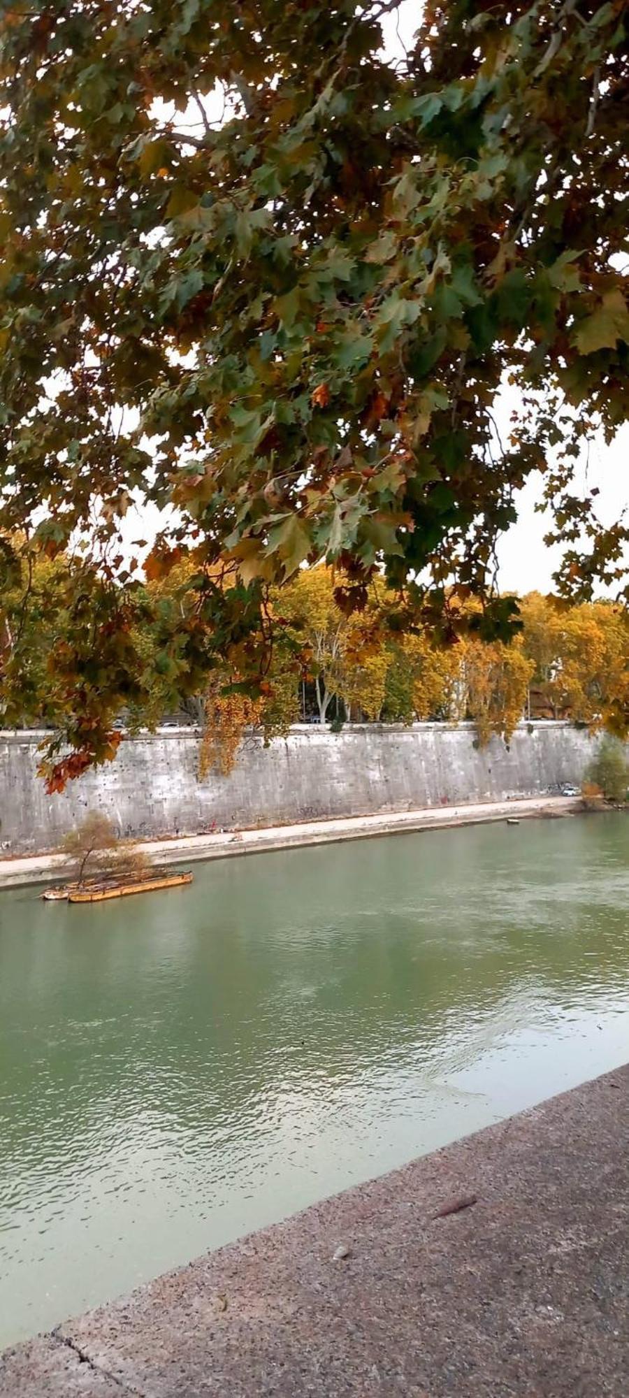 Riversidemellini44 Roma Exterior foto